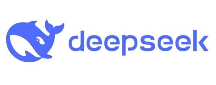 Ilustrasi DeepSeek-V3, Perusahaan Ai asal China